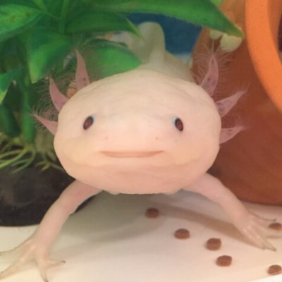mantiさんのプロフィール画像