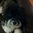 mumsie_hoffman's profile image