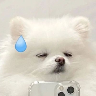 いぬさんのプロフィール画像