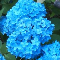 きむぅ (@daichi_kimkim) 's Twitter Profile