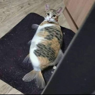 DIN0doc's profile picture. 