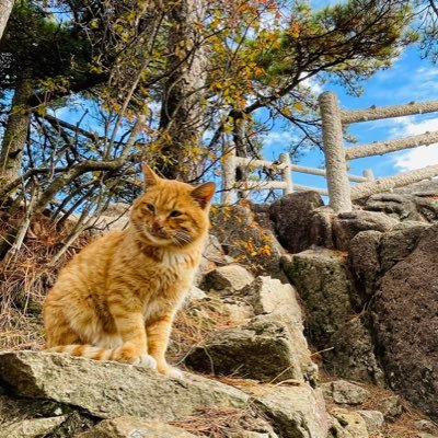 Calebzhan's profile picture. 新聞 英语