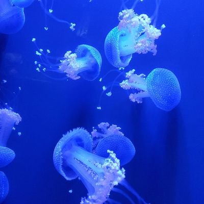 TheExaltedOne's profile picture. Nothing to see here.