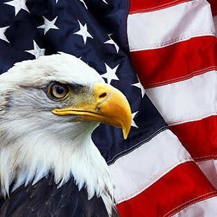 God, family, country. Dogs are a gift from God! #MAGA, Trump supporter