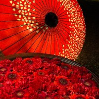 にゃーこ (@nya_co0530) 's Twitter Profile