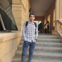 Ahmed Hossam (@ahmedho41023216) 's Twitter Profile