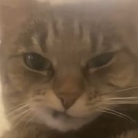 shockwaves (@ekoosposion) 's Twitter Profile