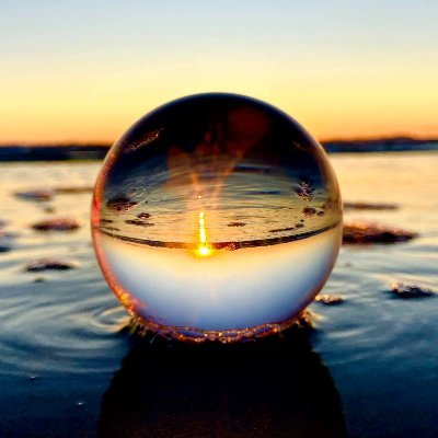 ReubysMom's profile picture. A sharp-witted conservative who champions voter ID, critiques political figures with humor, and questions media bias.