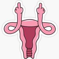 Wombs Better Vote Blue‼️🏳️‍🌈🏳️‍⚧️🇺🇸🇨🇺💙🟦🟧(@FierceWomb) 's Twitter Profile Photo