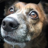 Bernie Fingers (@phillipjfry2022) 's Twitter Profile