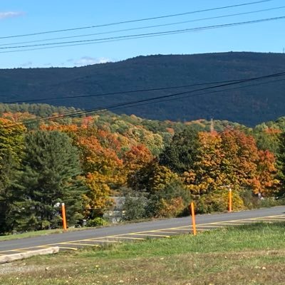 VTHAPPY's profile picture. Owner Betit Property service