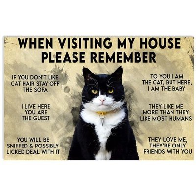 Love animals, feed feral cat colonies daily. MAGA , DJT 2024 America First. Support our Vets. Help stop the slaughter and consumption of dogs in China.