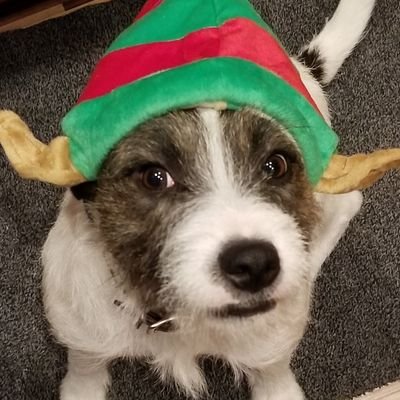 Maddogs111's profile picture. NO DM's