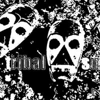 Tribal Suns(@TribalSunsMusic) 's Twitter Profile Photo