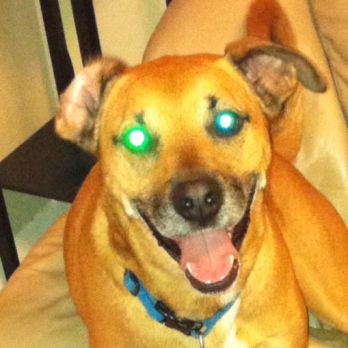 joedippy's profile picture. 