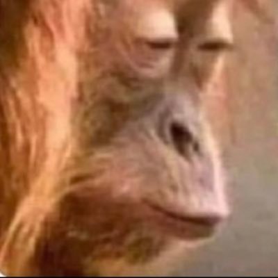 keatonf's profile picture. https://t.co/Elv7cMmfMm