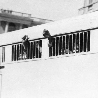 revinmeso's profile picture. 