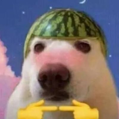 4cc1d3nt4cc0unt's profile picture. criei essa conta sem querer