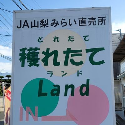 穫れたてLand山城店です～山城地区の新鮮野菜、果実、花を取り扱ってます🎵