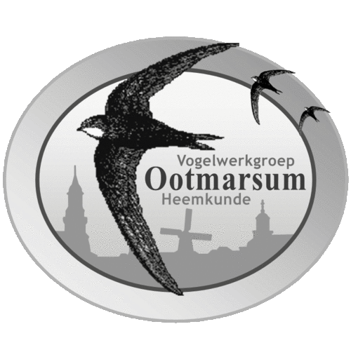 VWGOotmarsum's profile picture. Vogeltellingen, broedvogelmonitoring, nestkasten, weidevogelbescherming, uilenwerkgroep, zwaluwtellingen, voorlichting, herkenningscursus, excursies. Heemkunde.