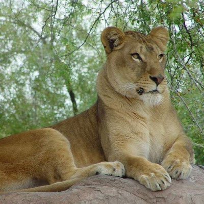 Adventure, exploration,tours and nature discoveries.