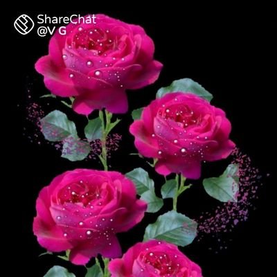 Sundaravel313's profile picture. 