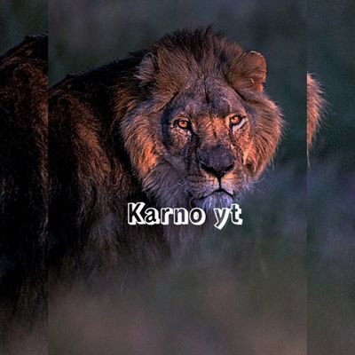 jcallofduty420's profile picture. let me live let you live ❤️