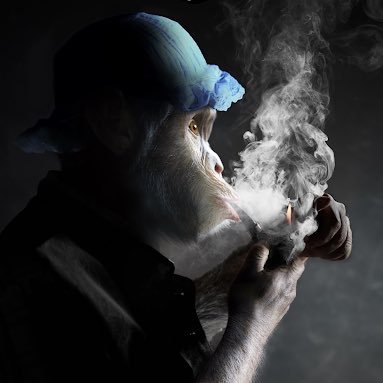 Skys Cards Profile