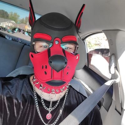 I'm a furry and a pup I play airsoft every weekend . I'm a adrenaline junky . Love to push my limits out in nature . In my 20's . Singe happy gay person .