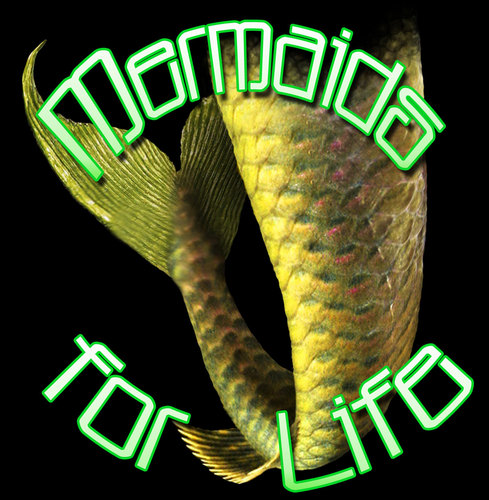 MermaidsForLife's profile picture. Whats all the buzz about?  Not heard the recent findings and scientific reports?  Well, we have exclusive news, images and much more.