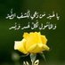 الاستاذ سامي معتز (@alawral) Twitter profile photo الاستاذ سامي معتز (@alawral) Twitter profile photo