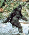 RoboticMammal's profile picture. Bigfoot, beer, science, video games.