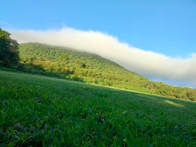 fame209PL's profile picture. ชายแท้มีเมีย แอบเล่น ด้านมืดลับๆ 
มิตรภาพ พี่น้อง สวิง ช่วยคู่ รับนวดครับ อวบอ้วนสูงวัยทักกันได้ครับ ลับๆด้านมืด