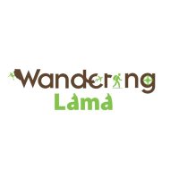 Wandering Lama(@wandering_lama_) 's Twitter Profile Photo