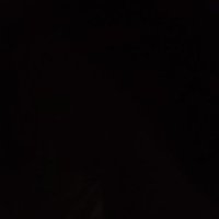 panz (@danifernandini) 's Twitter Profile