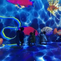 ho (@wh19820228) Twitter profile photo