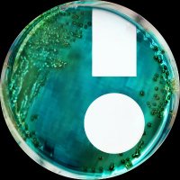 Interface nationale Antibiorésistance (@interfaceppra) 's Twitter Profile Photo Interface nationale Antibiorésistance (@interfaceppra) 's Twitter Profile Photo