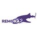 REMORA2 (@REMORA2_) Twitter profile photo