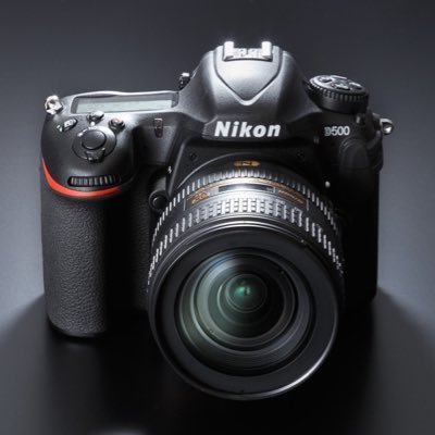 Nikon D500 AF-S DX NIKKOR 16-80mm f/2.8-4E ED VR / Nikon Z 6 NIKKOR Z 24-70mm f/4 S 男は黙ってキットレンズ レンズ沼って何？