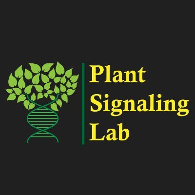 'Plant Signaling Lab', a research lab at IISER Tirupati, guided by Dr Swarup Roy Choudhury @SwarupRoyChoud