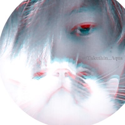 Takuthin_Aqua Profile Picture