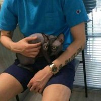 IngemarReynolds(꧁IP꧂) (@ingemarreynold5) 's Twitter Profile