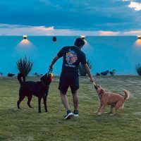 Alejandro G贸mez (@alegomzr) 's Twitter Profile Photo Alejandro G贸mez (@alegomzr) 's Twitter Profile Photo