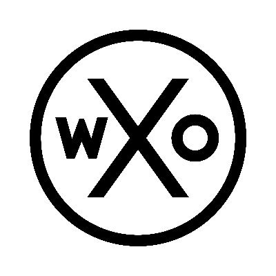 The World Experience Organization Profile