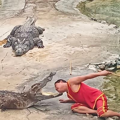 WuttikraiCheun2's profile picture. 