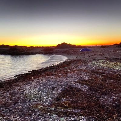 luxu1478's profile picture. 