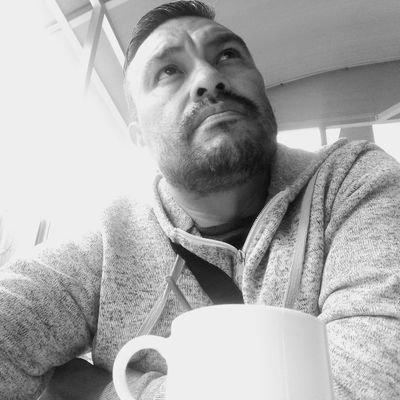 kamikasgris's profile picture. Ninguna