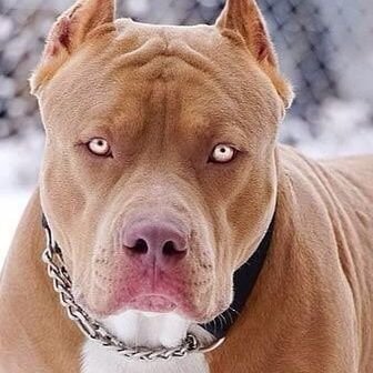 Shongwe22's profile picture. 