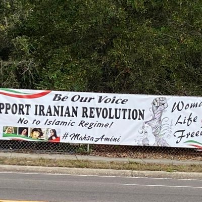 Nasrincheyenne's profile picture. freedom of speech in every shape and form , fighting for Iran’s freedom