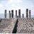 AYI_noticias's profile image